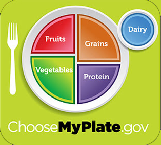 FoodPyramidMyPlateEdited My Plate Infographic